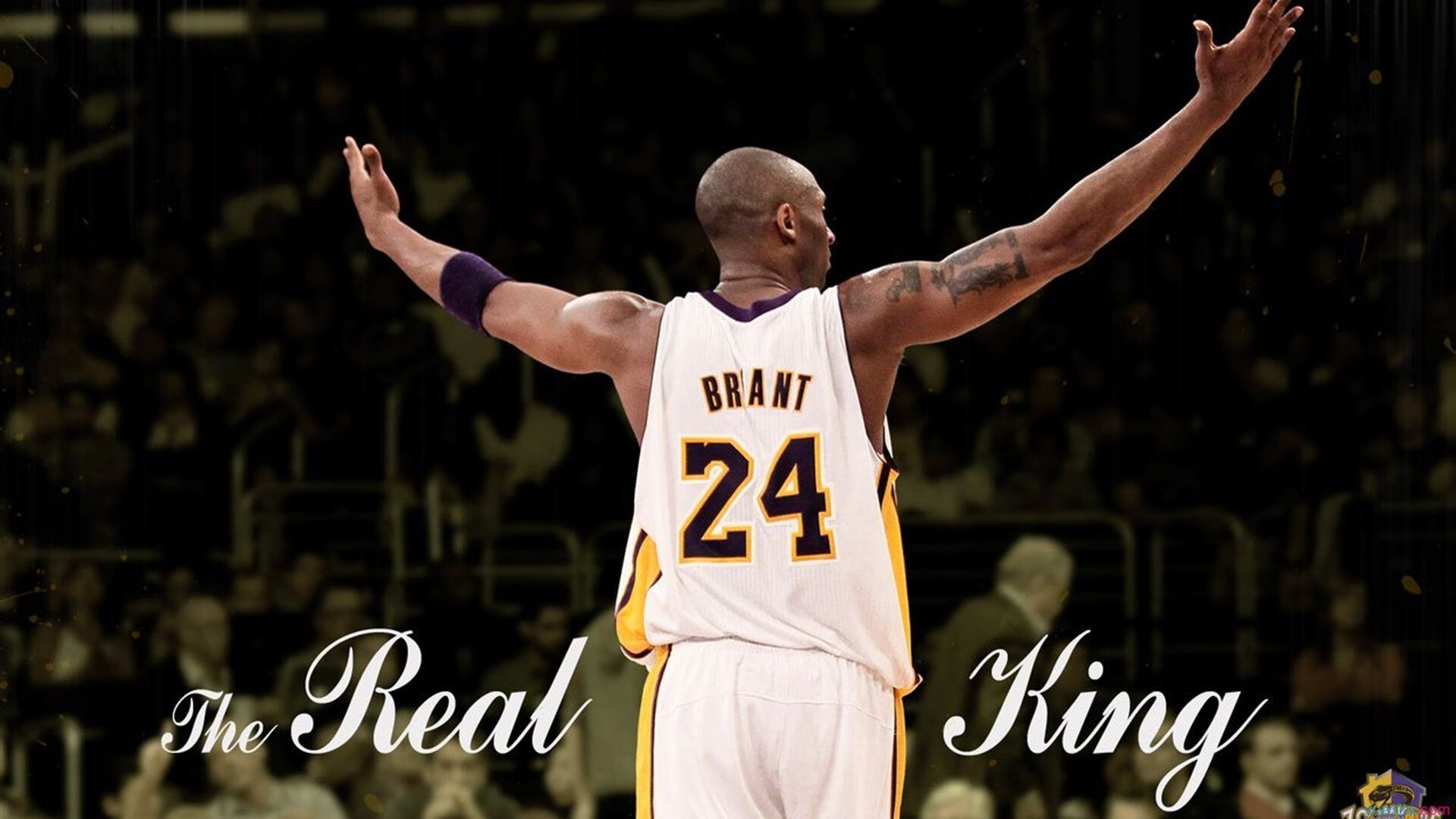 体育新闻中心启动运动项目可视化教学内容制作项目，体育项目视频简介